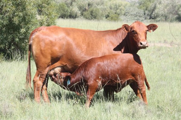 Le Roc Photo 1 Le Roc Photo 1