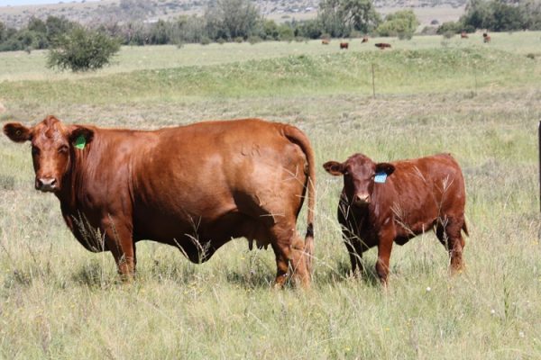 Le Roc Photo 2 Le Roc Photo 2